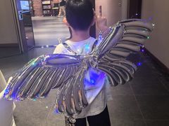 -上海崇明金茂凯悦酒店