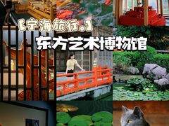 -东方艺术博物馆