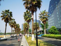 -金沙湖公园