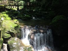 -牛背梁国家森林公园