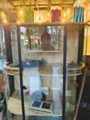 -青木造型HAIR·あおき髪を刈る潮人店