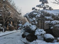 -东方华地城湿地温泉度假区