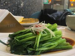 白灼菜心-大树餐厅(红旗街万达店)