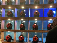 -串大叔炭火烤串·鸡西大冷面刀削面(总店)