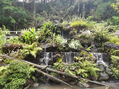 -深圳仙湖植物园