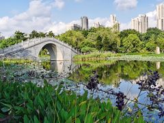 -映月湖公园