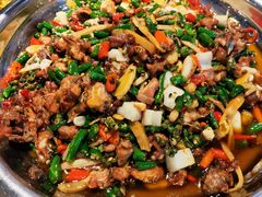 尖椒鸡-灶东家民间菜(回兴店)
