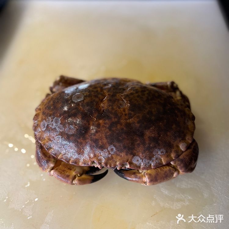 summer's table  「葱姜面包蟹」