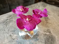 -澳门十六浦索菲特大酒店