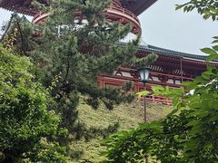 -成田山新胜寺