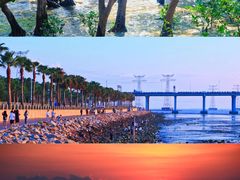 -宝安西湾红树林湿地公园