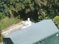 -上海市杨浦区中医医院