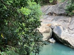 -广州白江湖森林公园