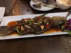-Daddy Nimman Chiang Mai