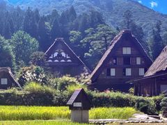 -白川乡与五箇山的合掌构造村落