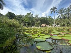 -中国科学院西双版纳热带植物园