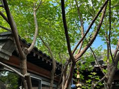 -VOYAGE COFFEE(杨梅竹店)