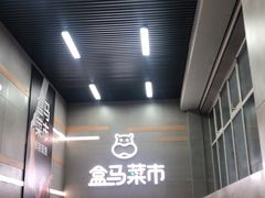 -盒马鲜生(红莲店)