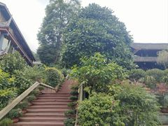 -峨眉山报国寺