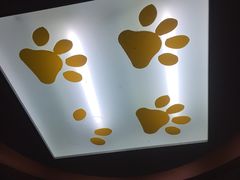 -宠爱24小时宠物医院·犬猫全科·异宠科(湛河南路店)