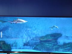 -海昌极光餐厅