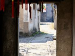 -东梓关景区村庄
