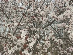 -贵阳市花溪国家城市湿地公园
