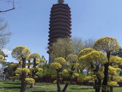 -西海子公园