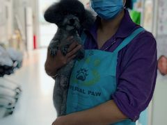 -北京观赏动物医院·24小时大型综合·猫专科·异宠专科