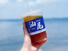 -汕尾风车岛