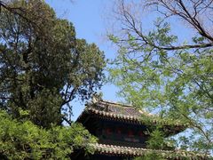 -北京国子监胡同