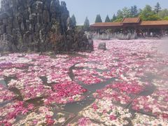 -神州牡丹园