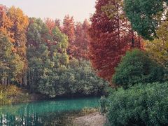 -贡湖湾湿地公园
