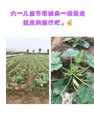 -麦粒鸟亲子游