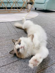 -元一肌肤管理中心
