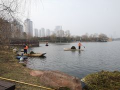 -洋湖国家湿地公园