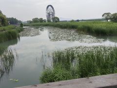 -苏州太湖湖滨国家湿地公园