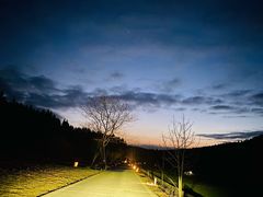 -武陵山森林公园