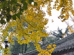 -成都市文殊院