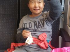 -莱茵瀑布