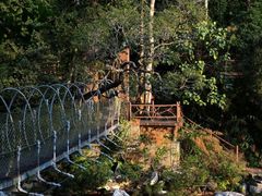-海南热带雨林国家公园吊罗山景区