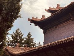 -张掖大佛寺景区