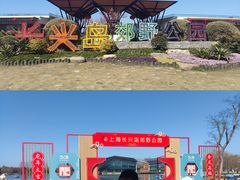 -上海长兴岛郊野公园