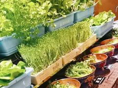 -西安W酒店·观湖露台 美式烧烤