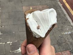 -富豪雪糕车流动点(尖沙咀)