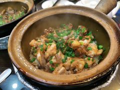 滑鸡煲仔饭-红星光发煲仔饭(文海店)