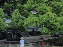 -严子陵钓台(富春江小三峡)