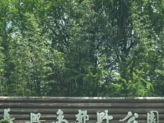 -上海长兴岛郊野公园