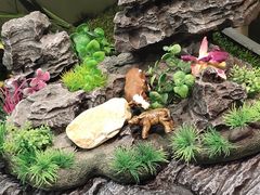 -一品诚记烤肉(大连柏威年购物中心店)