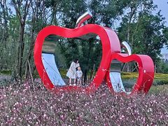 -白鹭湾湿地公园